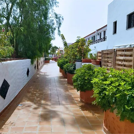 Live Costa Del Silencio Don Jose 2-0-5 *